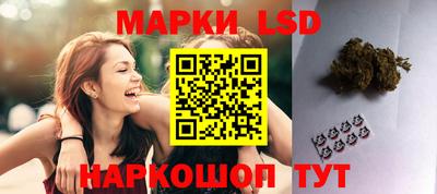 МДПВ Бийск