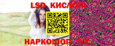 МДПВ Бийск