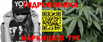 МДПВ Бийск