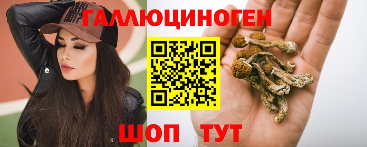 Псилоцибиновые грибы прущие грибы  продажа наркотиков  Киселёвск  Вход с VPN  Галлюциногенные грибы мицелий 